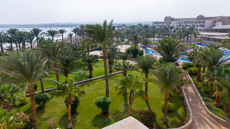 Картинка - 12