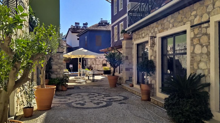 Картинка - 1