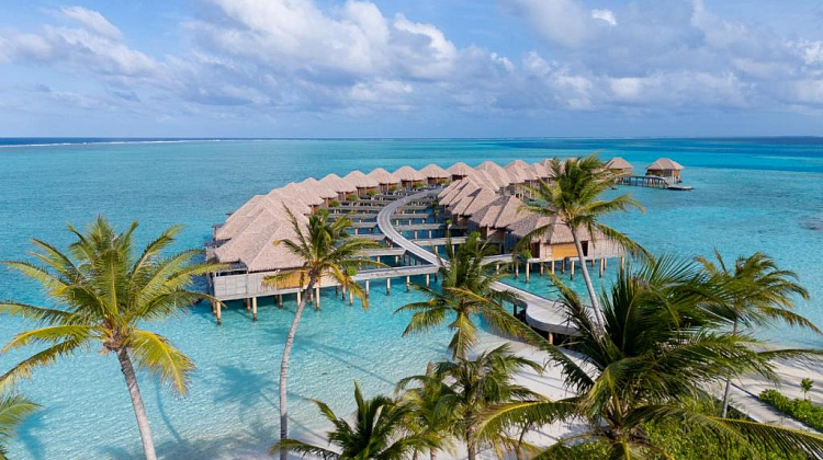 Картинка - 1