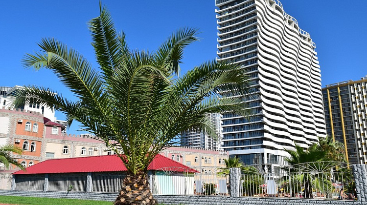 Картинка - 1