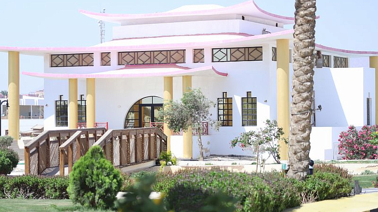 Картинка - 2