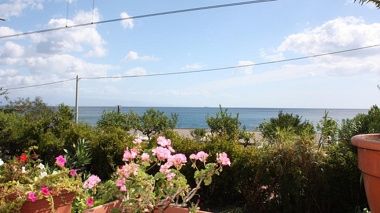 Картинка - 1