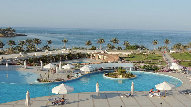 Картинка - 11