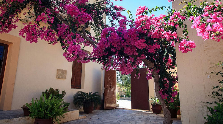 Картинка - 8