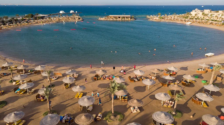 Картинка - 2