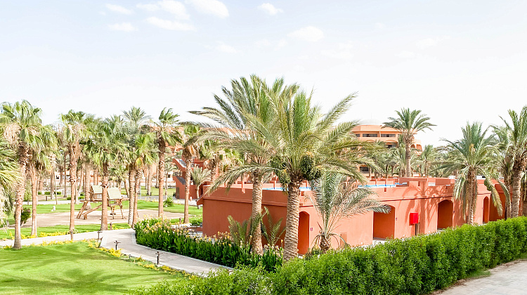 Картинка - 46