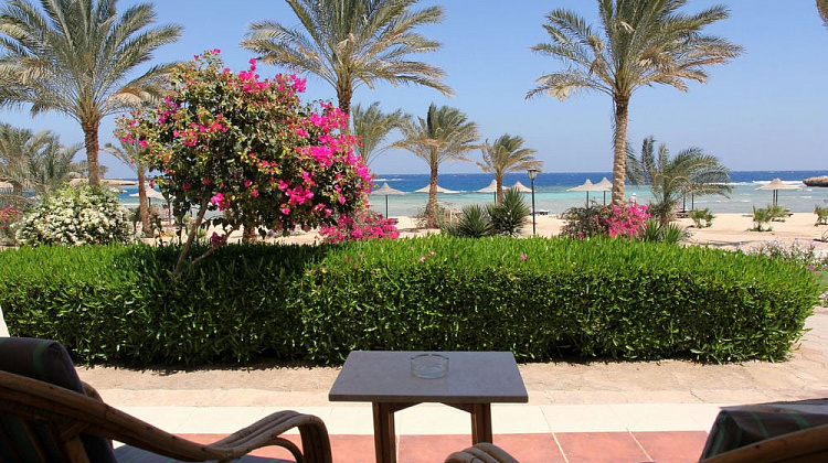 Картинка - 17