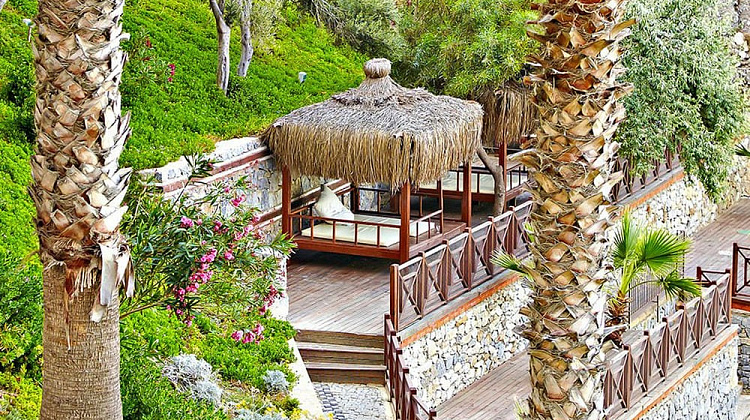 Картинка - 12