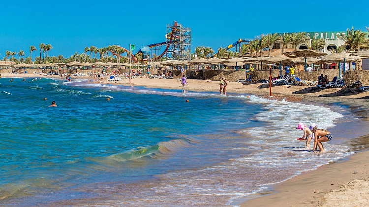 Картинка - 12