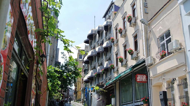 Картинка - 1