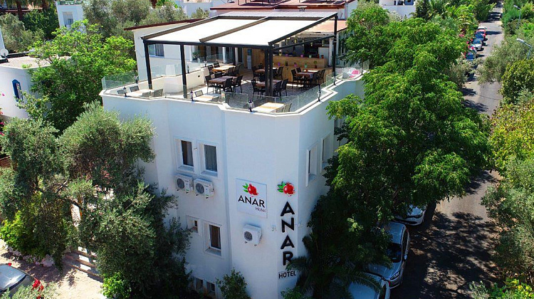 Картинка - 1