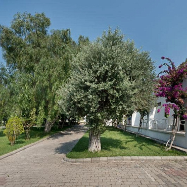 BARE HILL HOLIDAY VILLAGE