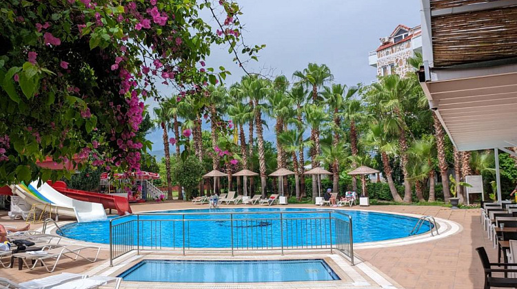 Картинка - 3