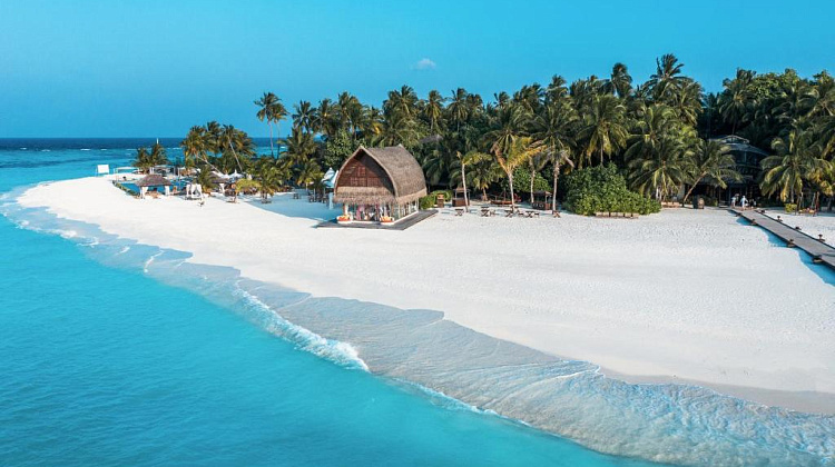 Картинка - 4