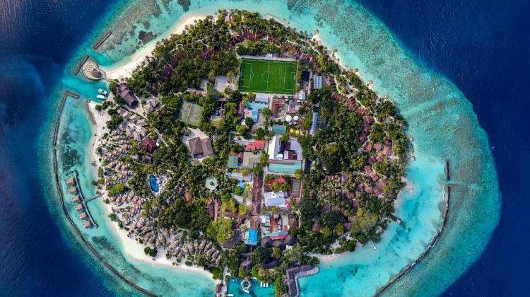 Картинка - 1