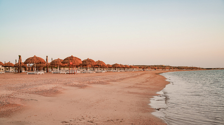 Картинка - 16