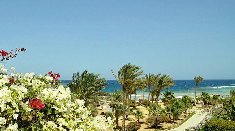 Картинка - 14