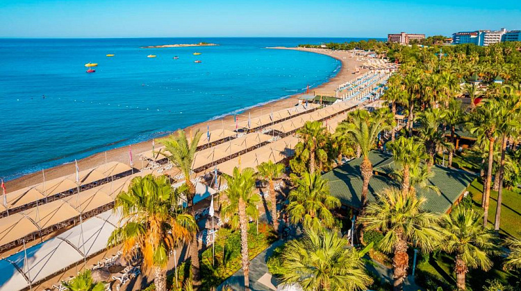 Картинка - 4