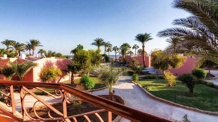 Картинка - 2