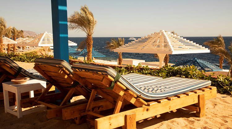 Картинка - 3