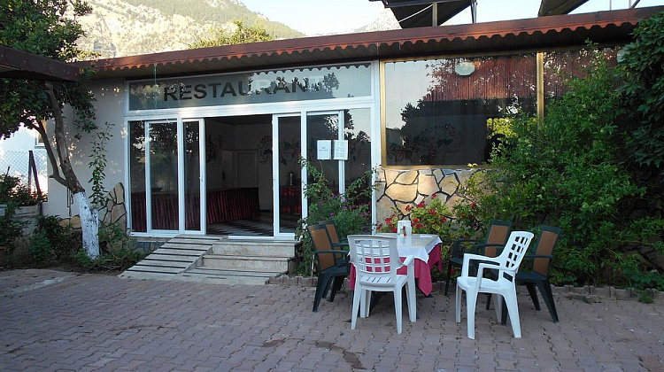 Картинка - 2