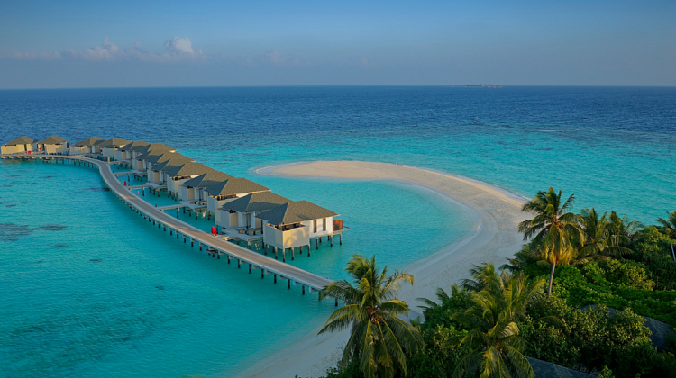 Картинка - 1