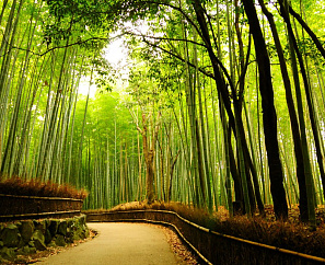 ГРАНД-ТУР ПО ЯПОНИИ