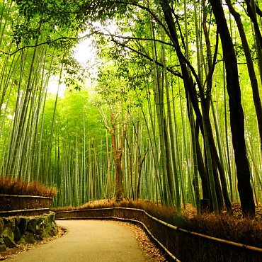 ГРАНД-ТУР ПО ЯПОНИИ