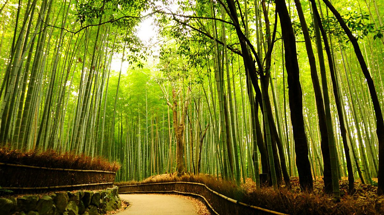 Картинка - 1