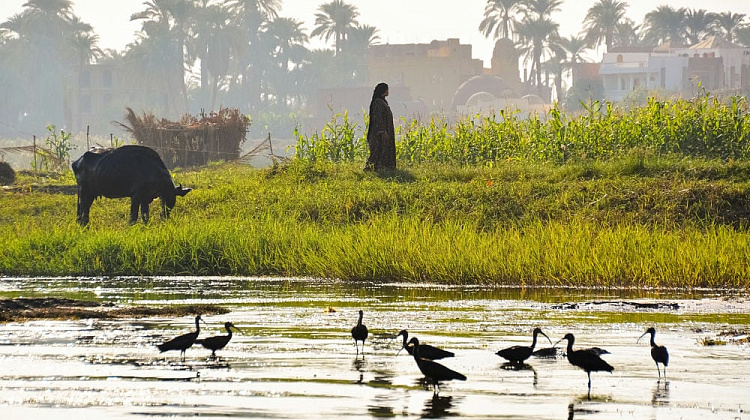 Картинка - 13