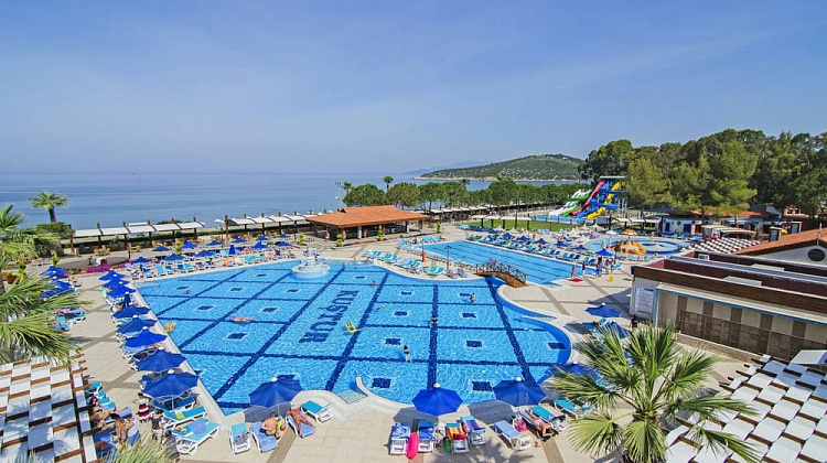 Картинка - 3