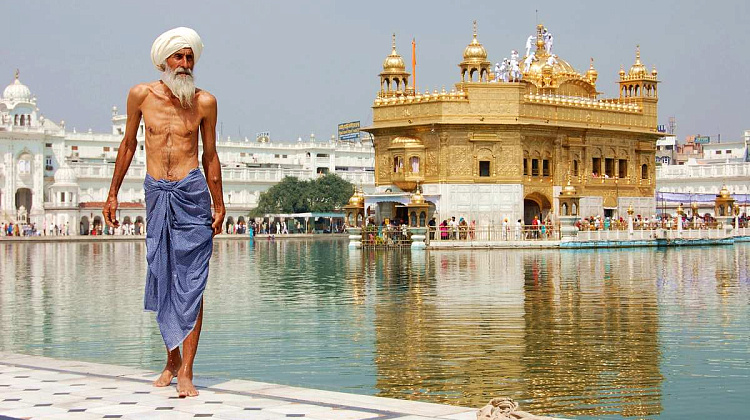 Картинка - 7