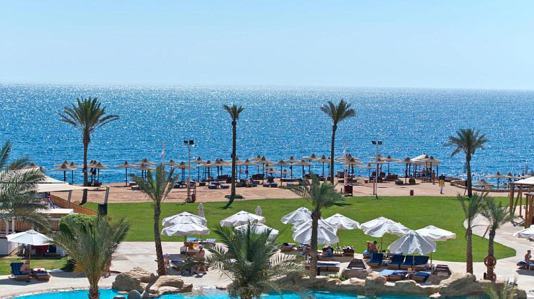 Картинка - 1