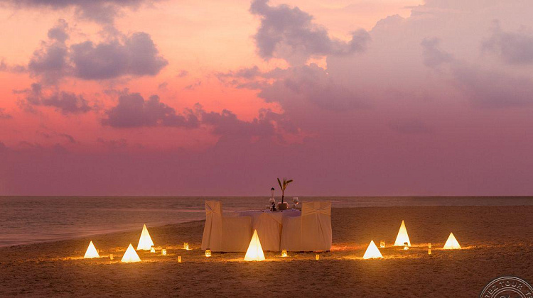 Картинка - 3