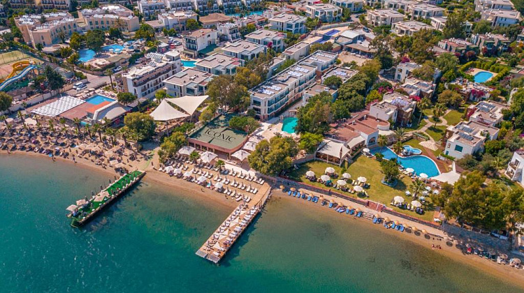 Картинка - 1