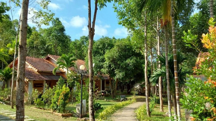 Картинка - 2