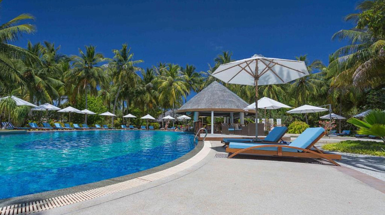 Картинка - 8