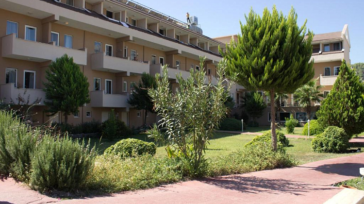 Картинка - 7