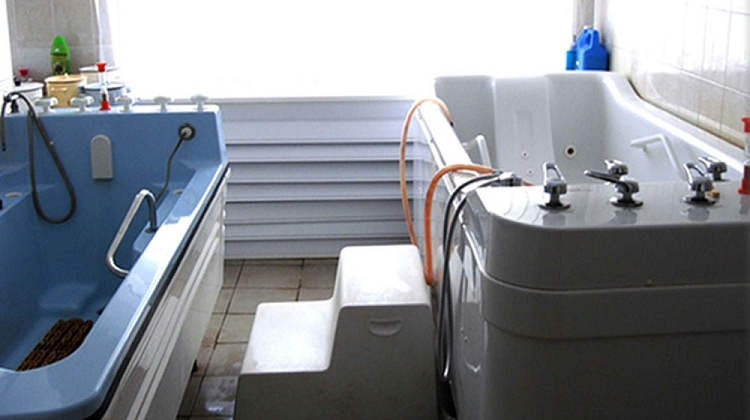 Картинка - 4