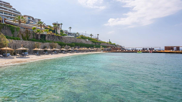 Картинка - 3