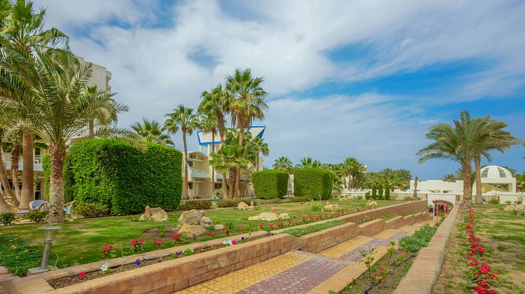 Картинка - 7