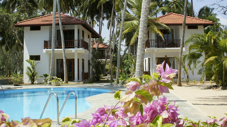 Картинка - 1