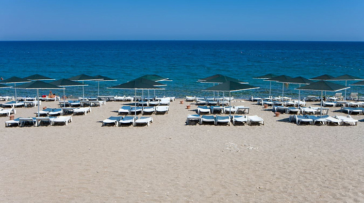 Картинка - 10