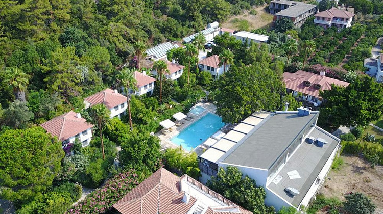 Картинка - 1