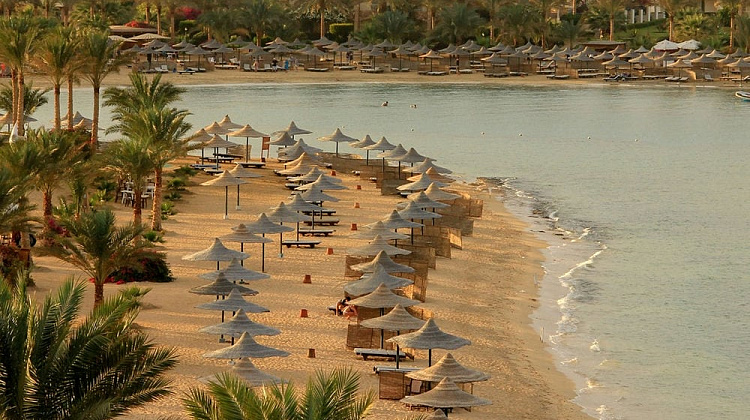 Картинка - 15