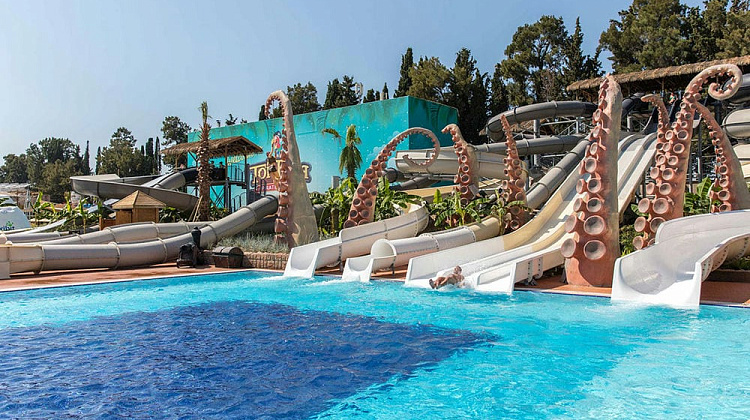 Картинка - 15