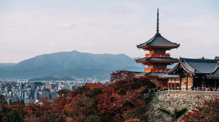 Картинка - 1