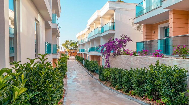 Картинка - 4