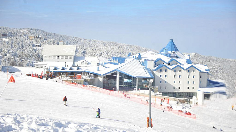 Картинка - 1