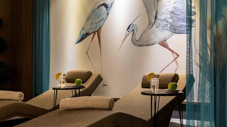 Картинка - 11